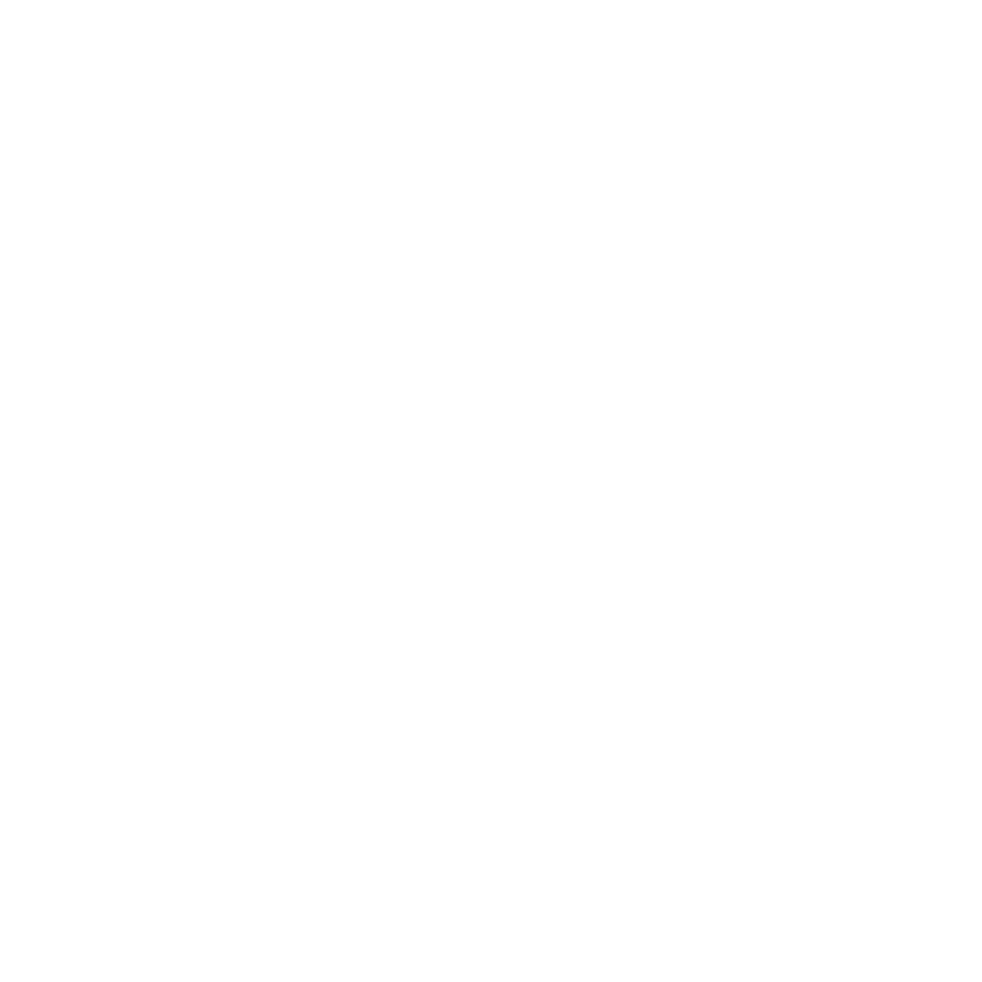 Terzi Watch